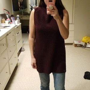 Aritzia Durandal Sweater